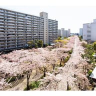 Takashimadaira 2