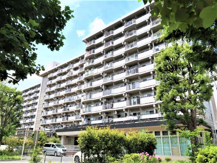 光が丘パークタウン ゆりの木通り北