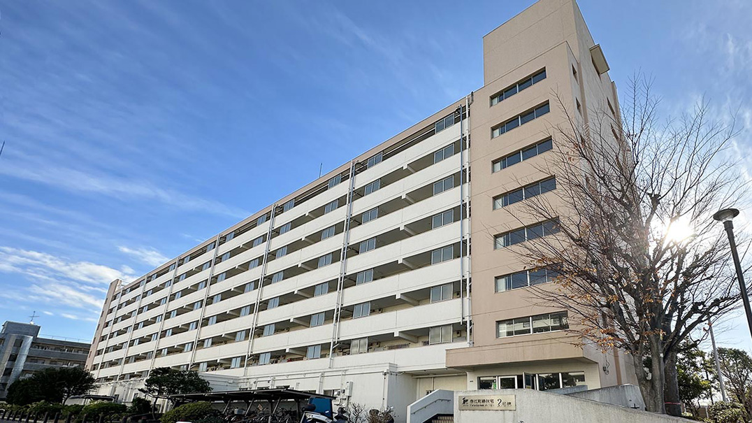 春江町椿